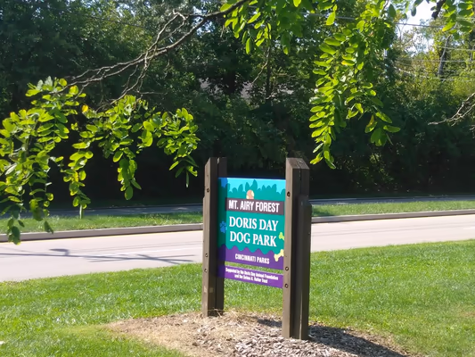 Dog Park at Mt. Airy Forest photo 2